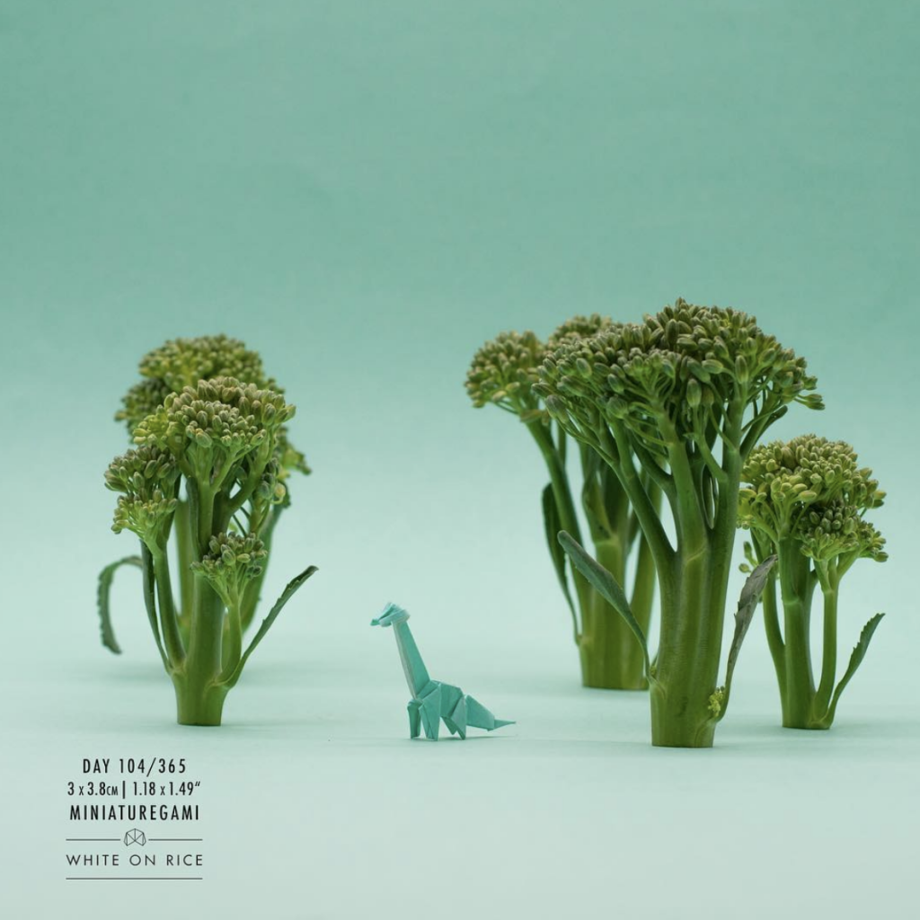 Instagram Photographers: Ross Symons: origami dinosaur in broccoli forest